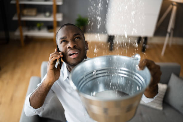 Best Water damage restoration near me  in Cloverport, KY
