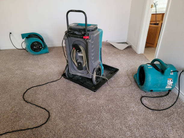 Water damage restoration mold remediation in KY
