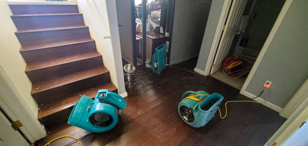 Best Water damage restoration mold remediation  in Cloverport, KY