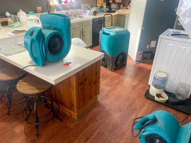 Best Local water damage restoration  in Cloverport, KY