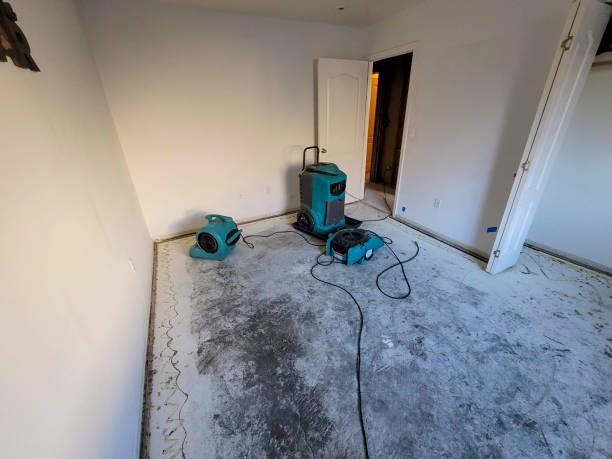 Best Emergency water extraction  in Cloverport, KY