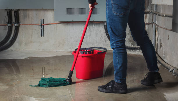 Best Basement water damage restoration  in Cloverport, KY