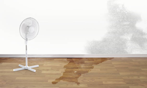 Best Emergency water damage restoration  in Cloverport, KY