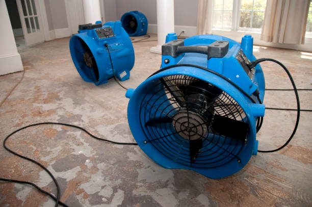Best Water damage cleanup near me  in Cloverport, KY