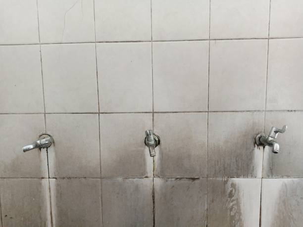 Best Commercial water damage restoration  in Cloverport, KY