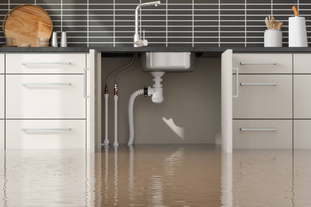 Best Water damage restoration near me  in Cloverport, KY