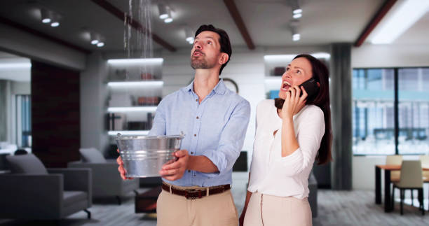 Best Mold removal after water damage  in Cloverport, KY