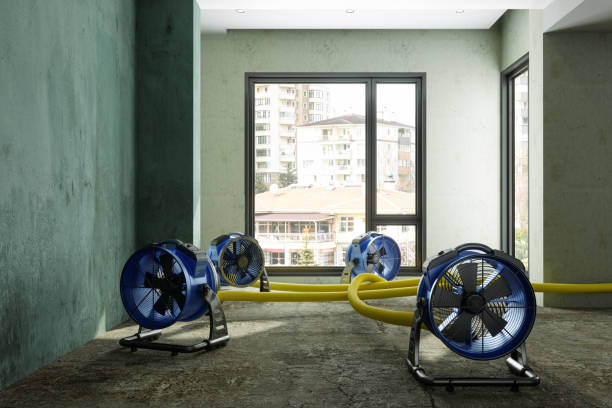 Best Emergency water damage restoration  in Cloverport, KY